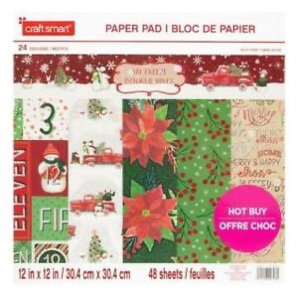 Craftsmart paper pad -Say Freeze
